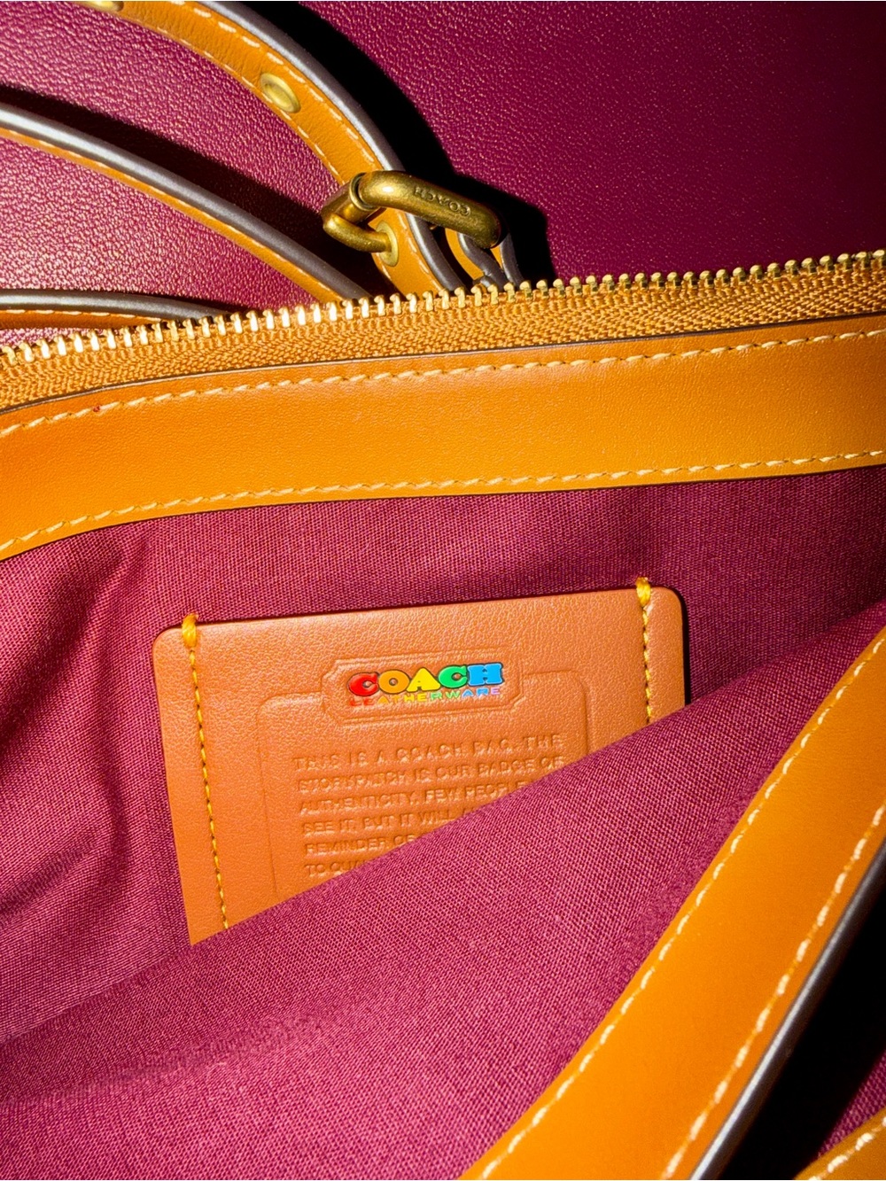Coach Multicolor Signature Riley Swingpack Crossbody Bag - Picture 9 of 9